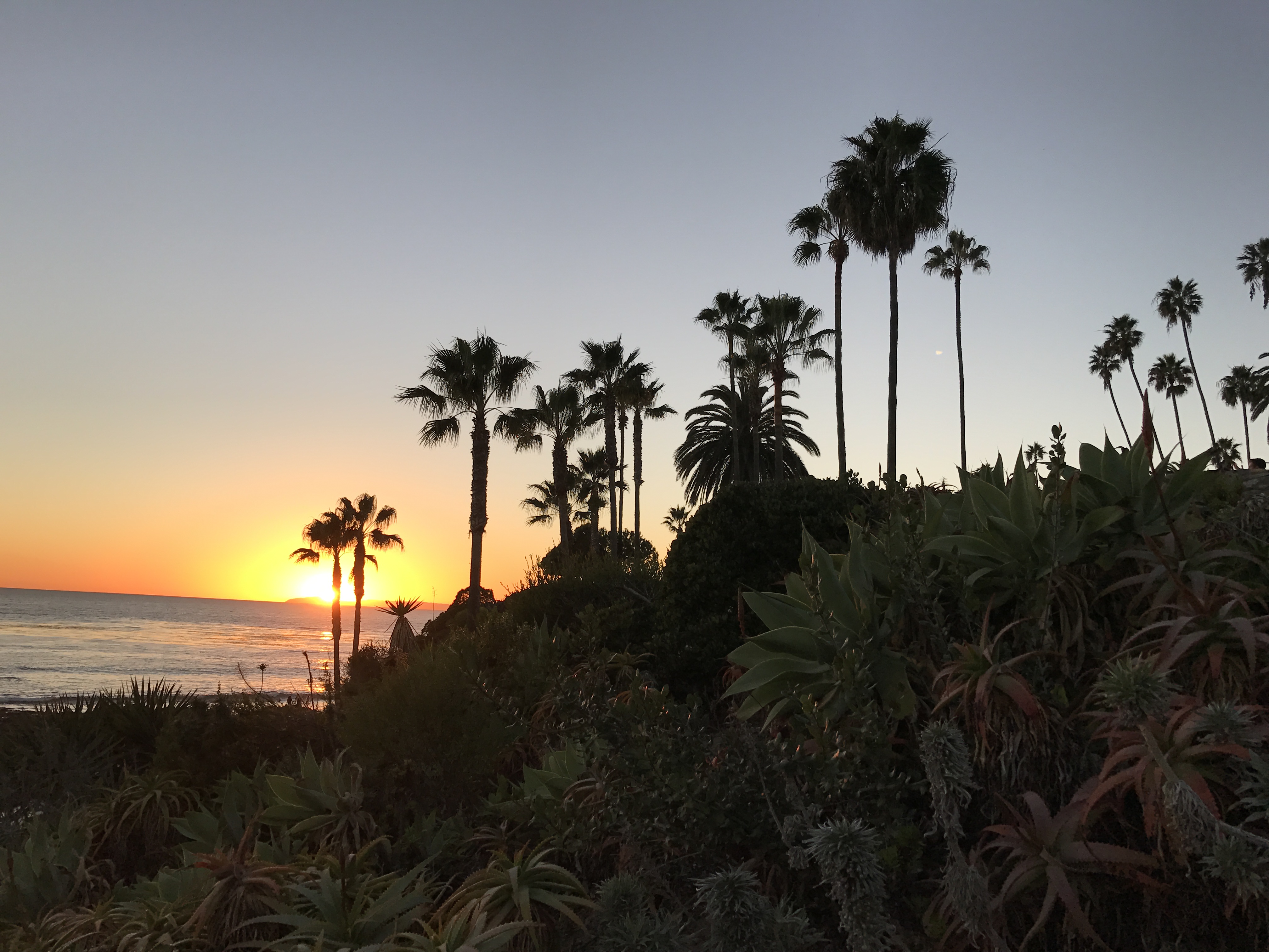 LAGUNA SUNSET       Laguna Beach CA USA